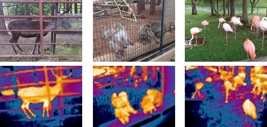 OWLIFTサンプル画像：動物、猿、鹿、鳥